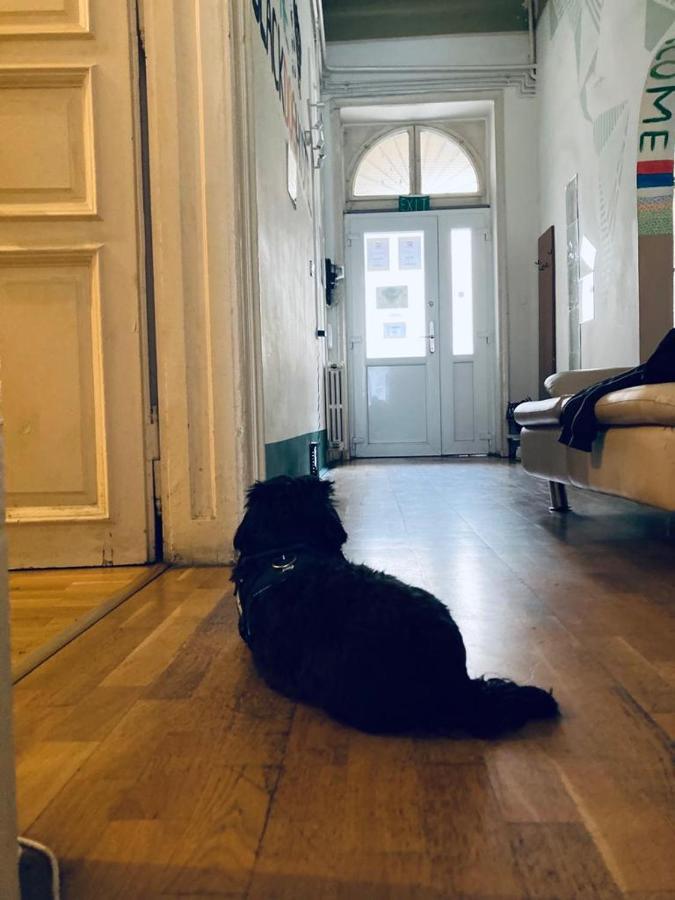 Black Dog Hostel Budapest Eksteriør billede
