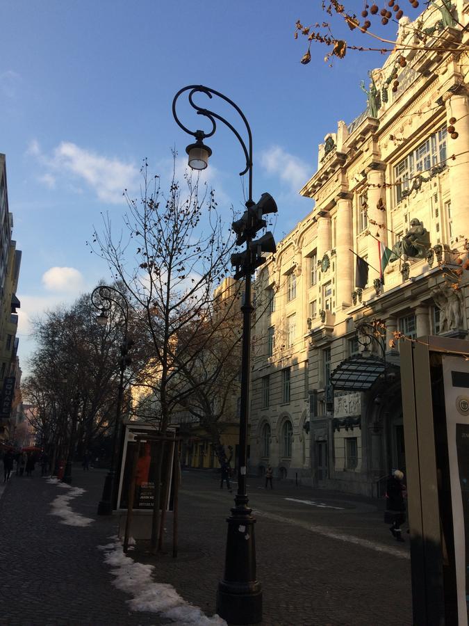 Black Dog Hostel Budapest Eksteriør billede